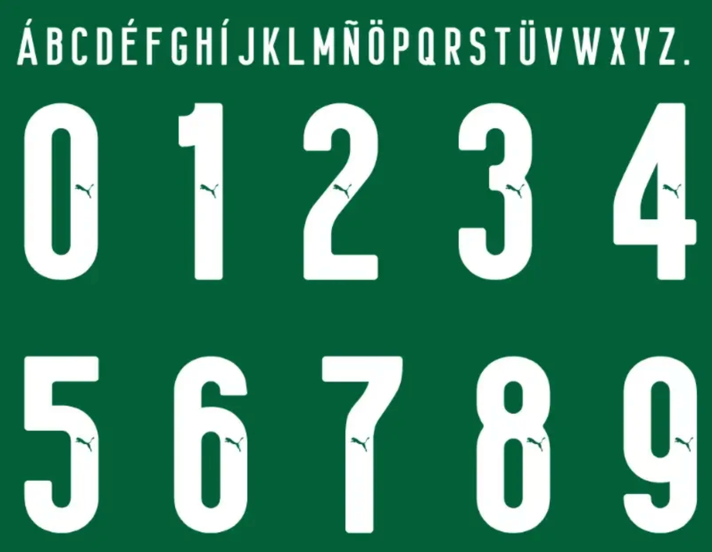TIPOGRAFIA PALMEIRAS 2025-26