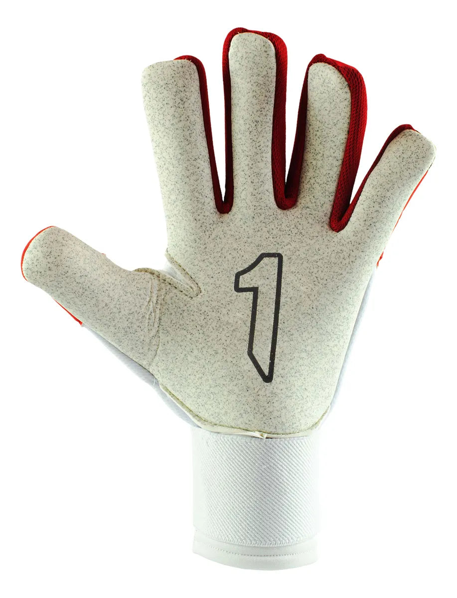RINAT KNAM TRAINING